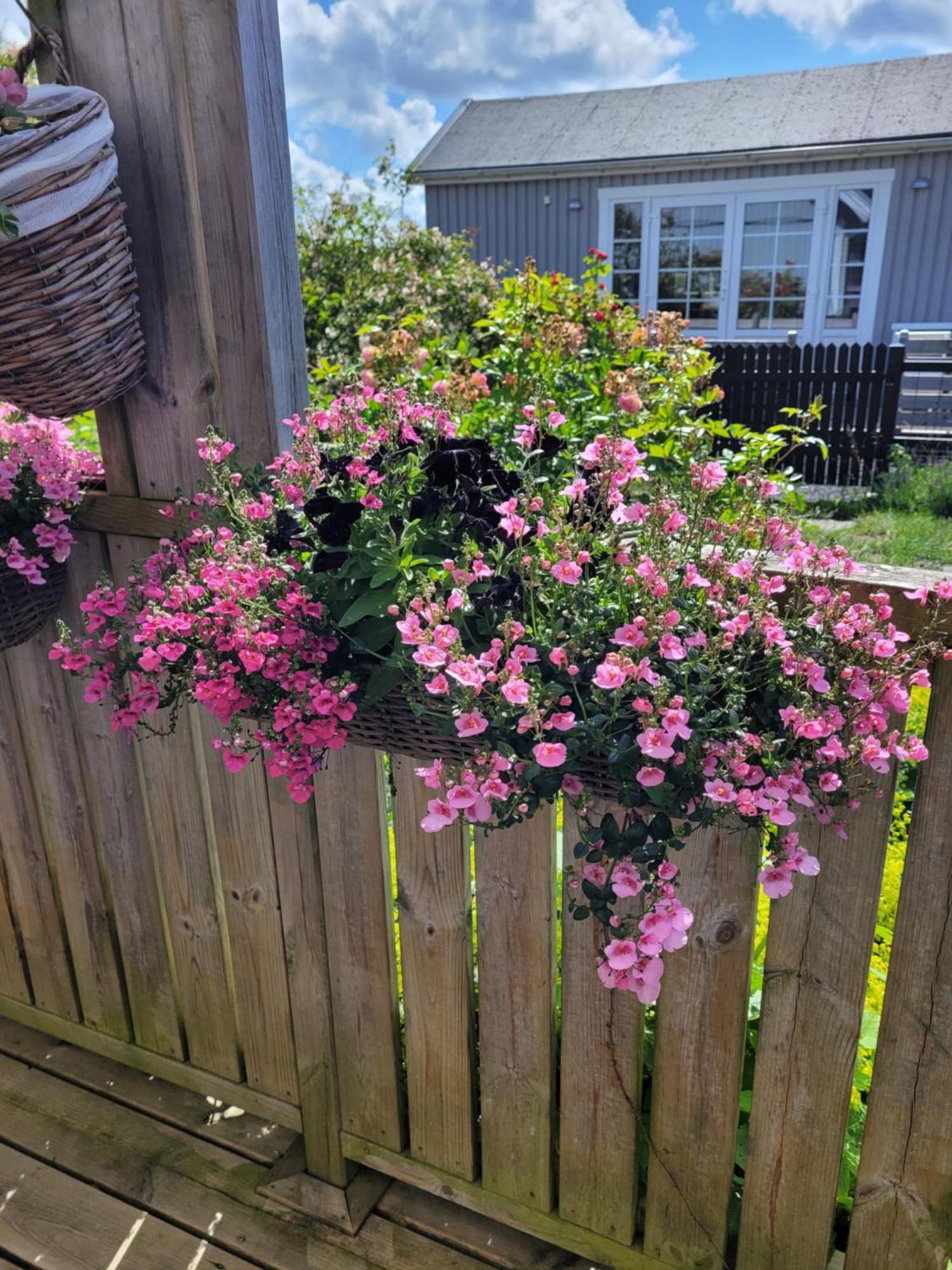 Helgas Stuga I Jonstorp المظهر الخارجي الصورة
